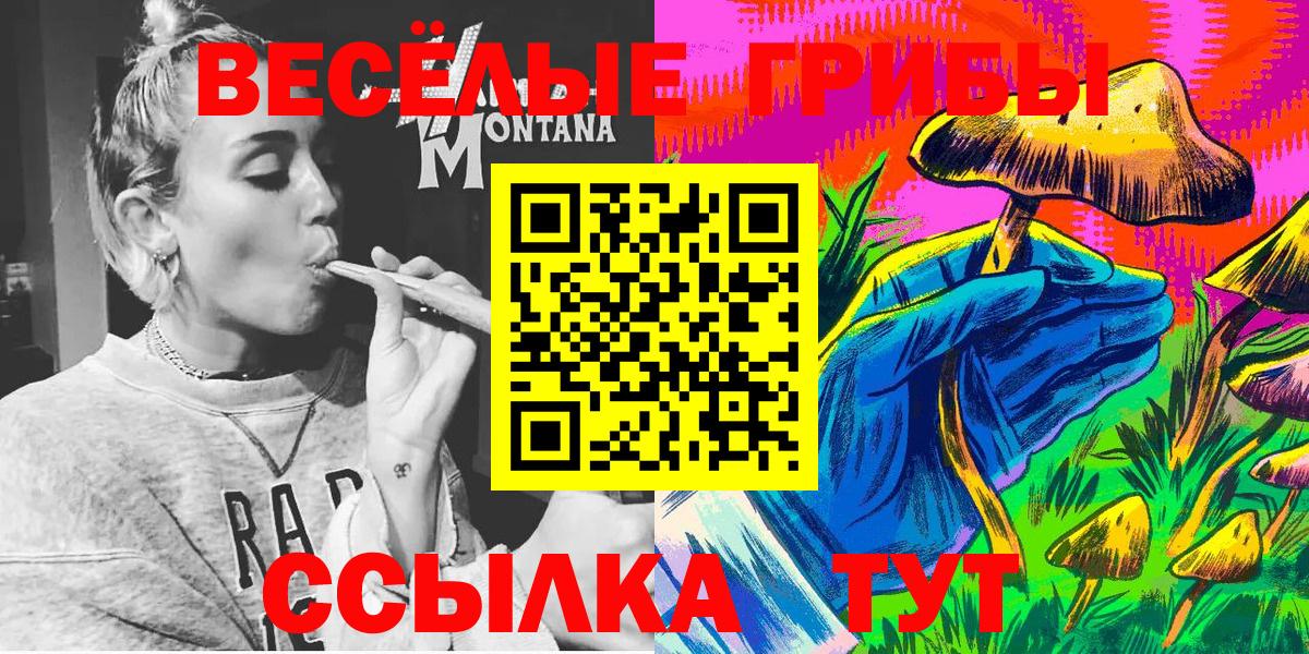 Псилоцибиновые грибы мицелий Алейск