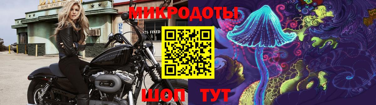 даркнет сайт  Вход с VPN  Алейск  Галлюциногенные грибы Psilocybine cubensis 